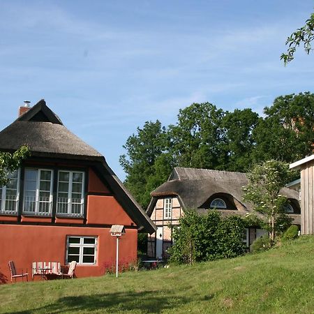 Dorphus Villa Neuenkirchen auf Rugen Exterior photo